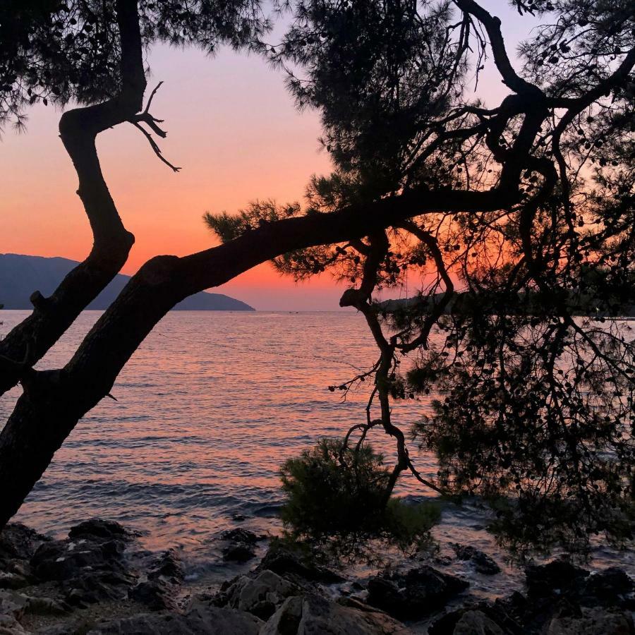 Holiday home House Sidro, Stari Grad *